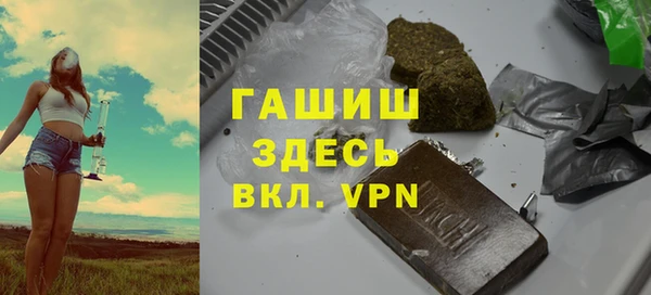 индика Беломорск