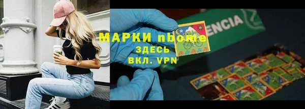 индика Беломорск