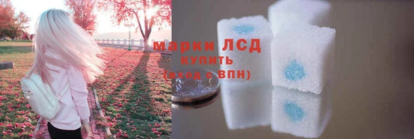 индика Беломорск
