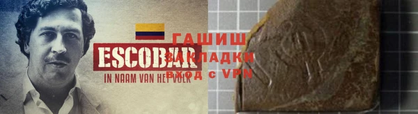 индика Беломорск