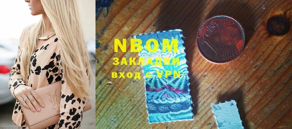 индика Беломорск