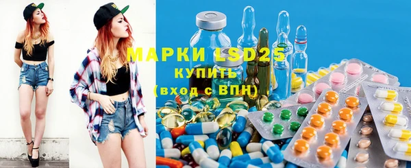 индика Беломорск