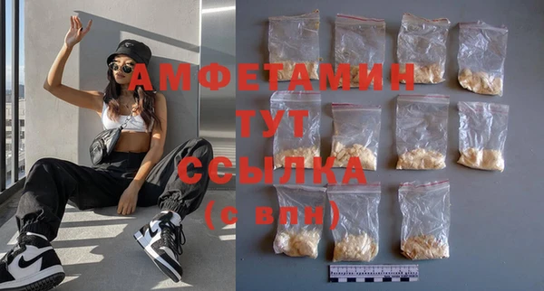 индика Беломорск