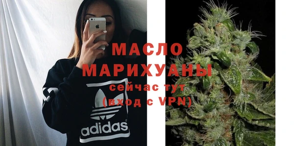 индика Беломорск
