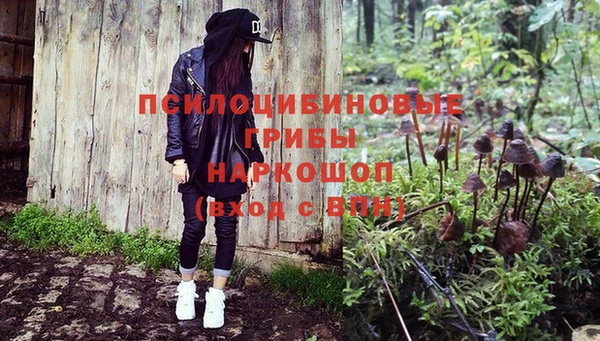 ешки Белоозёрский