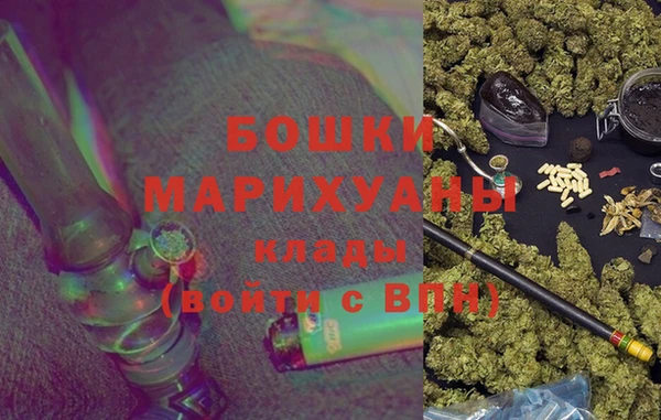индика Беломорск