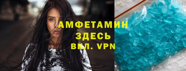 индика Беломорск
