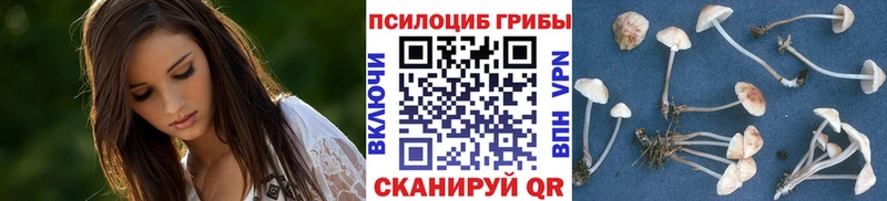 Купить где  Майский  Галлюциногенные грибы Magic Shrooms 